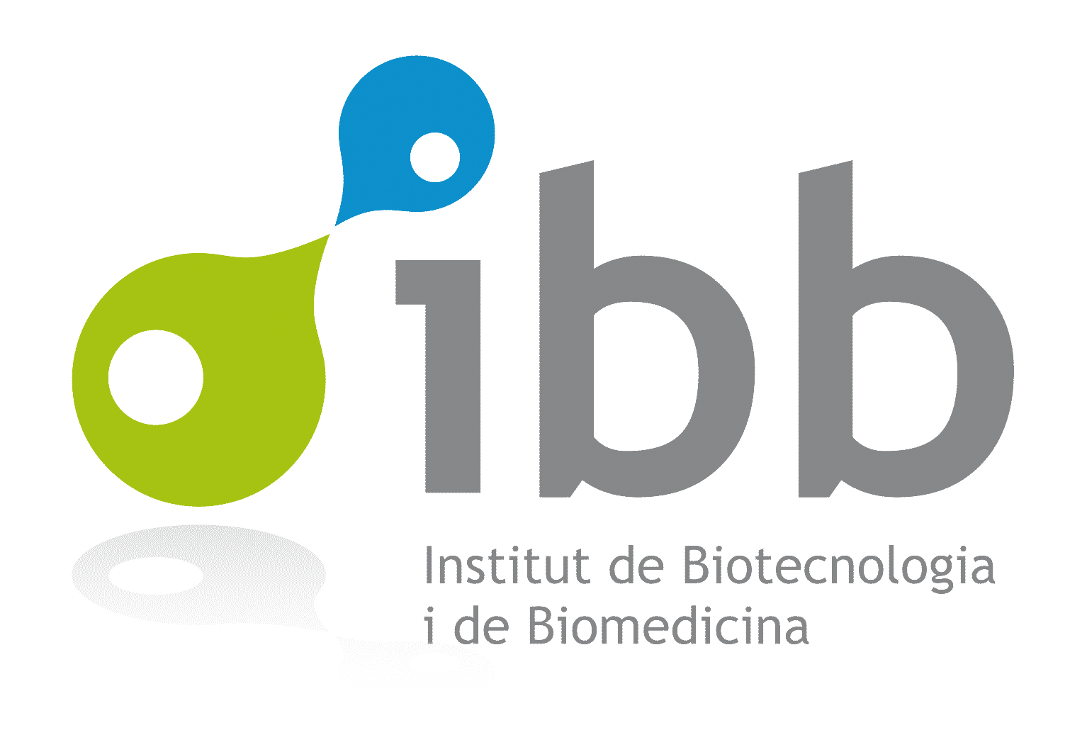 IBB logo